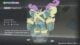 Pokémon Legends Z-A Mega Dimension All New Mega Evolutions
