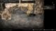 Nioh 3 Warring States Hot Spring map location