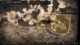Nioh 3 Bakumatsu Hot Spring map location
